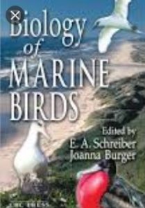 Download Biology of Marine Birds 1st Edition PDF Free