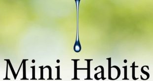 Download Mini Habits: Smaller Habits, Bigger Results PDF Free