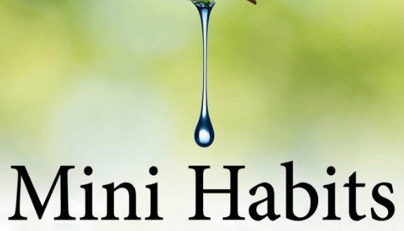mini habits smaller habits bigger results
