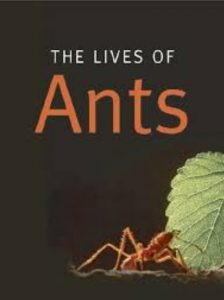 Download The Lives of Ants PDF Free