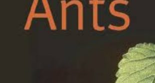 Download The Lives of Ants PDF Free