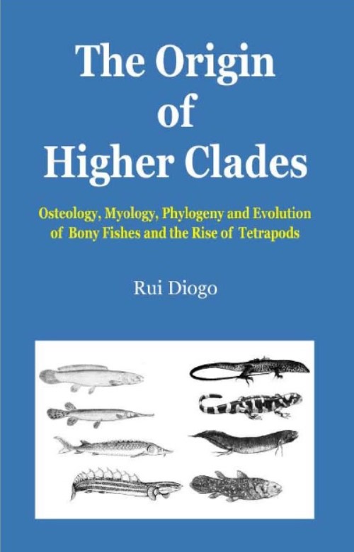 Download The Origin of Higher Clades: Osteology, Myology, Phylogeny and Evolution of Bony Fishes and the Rise of Tetrapods 1st Edition PDF Free