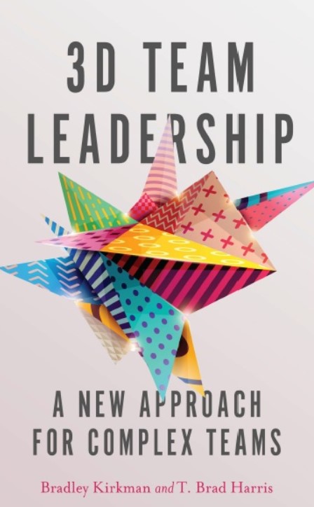 Download 3D Team Leadership: A New Approach for Complex Teams 1st Edition PDF Free