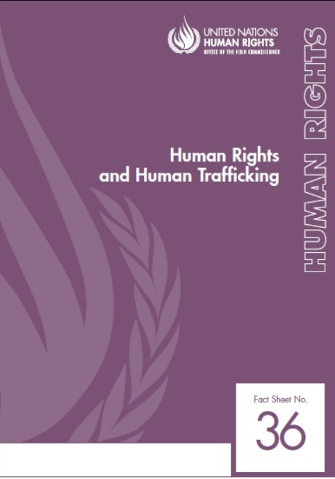 Download Human Rights and Human Trafficking PDF Free