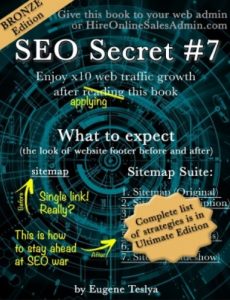 Download SEO Secret #7 (Bronze Edition) PDF Free