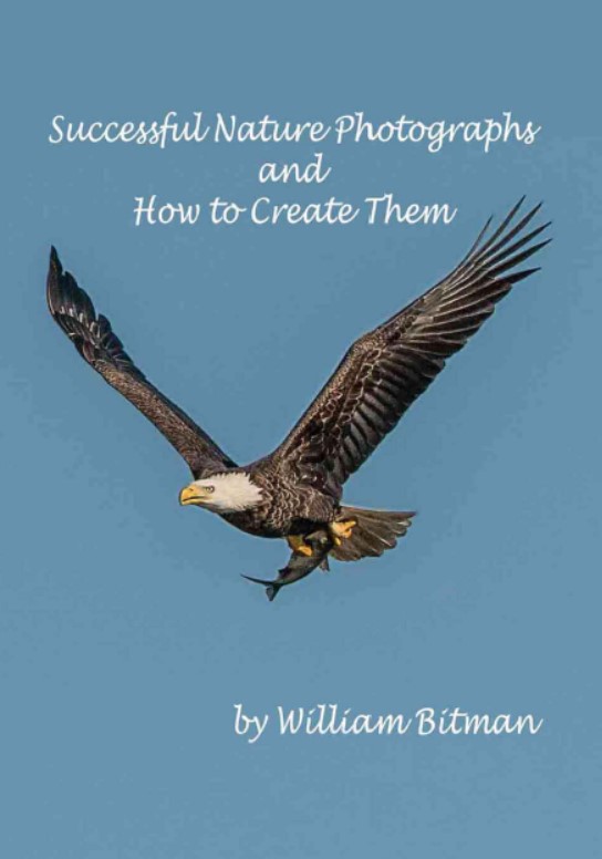 Download Successful Nature Photographs and How To Create Them PDF Free