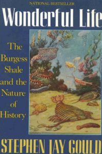 Download Wonderful Life The Burgess Shale and the Nature of History BYGould PDF Free