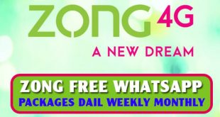 Zong Whatsapp Packages